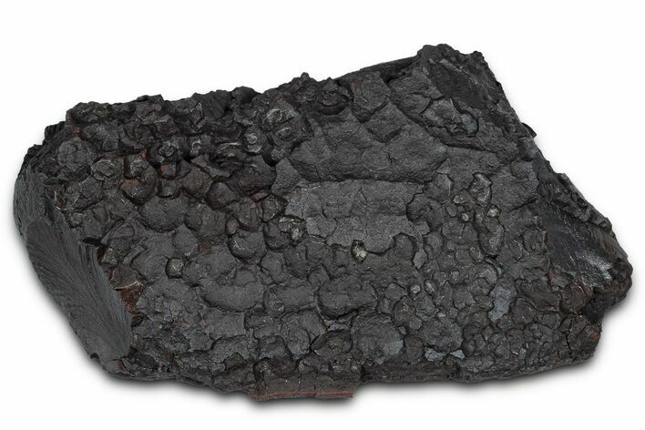 Dragon Scale Stone (Iron, Manganese, Siderite Nodule) #350217